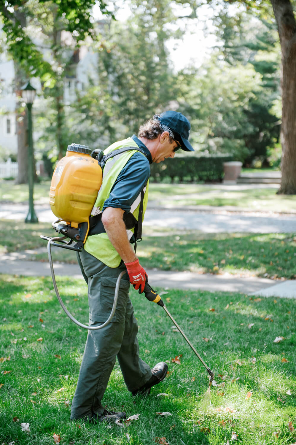Organic lawn care