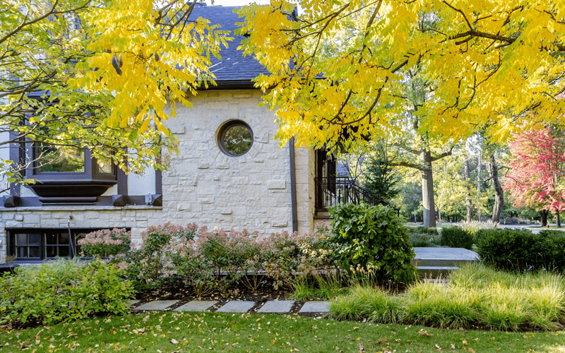 Backyard design