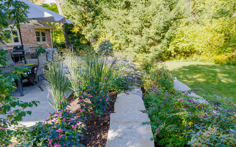 Diverse plantings