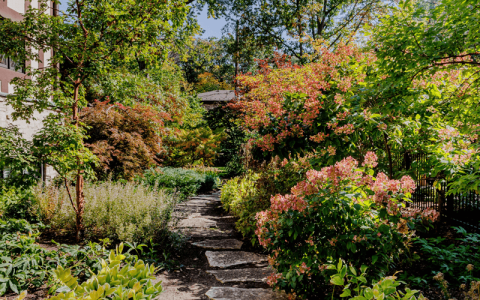 Planting & Garden Installation