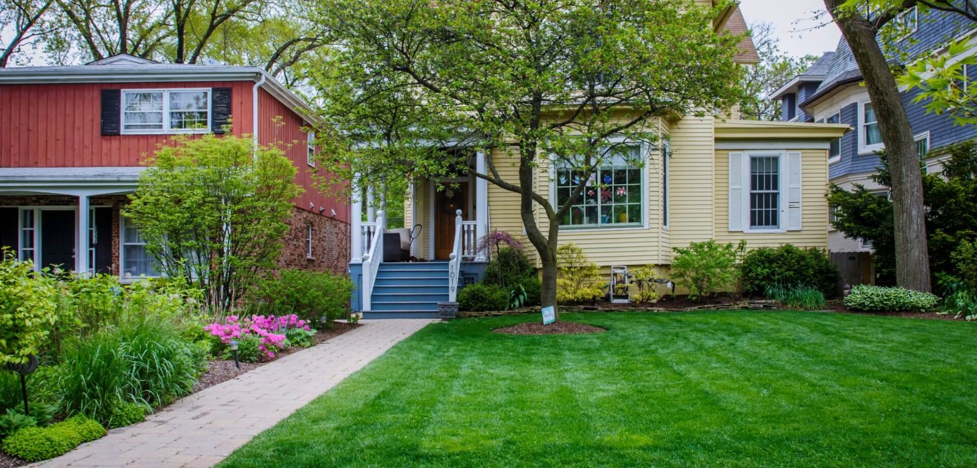 Professional Lawn Aeration & Soil Health
